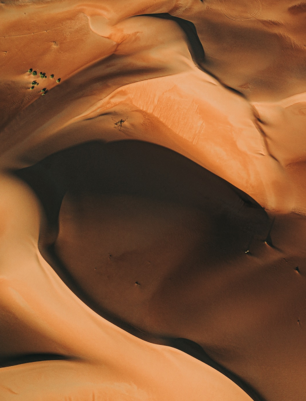 Eine Düne in einer Sandwüste